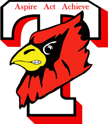 Triad District logo